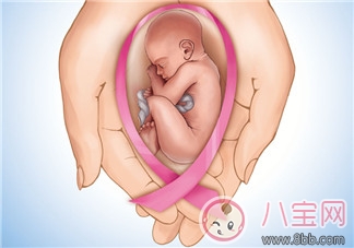 備孕首先應(yīng)該了解什么？宮頸黏液和排卵期是什么？