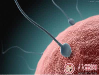 備孕不成功原因多 求助醫(yī)生來(lái)幫忙 備孕不成功原因多 求助醫(yī)生來(lái)幫忙