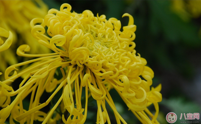 男人有黑眼圈是腎虛嗎 男士去黑眼圈小妙招 男人有黑眼圈是腎虛嗎 男士去黑眼圈小妙招