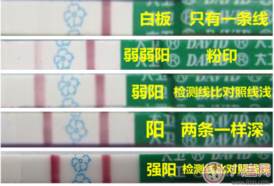測(cè)卵紙二條紅線是不是可以懷上 備孕測(cè)排卵的方法