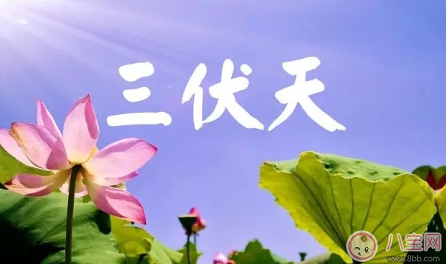 2017三伏天是什么時(shí)候 2017三伏天時(shí)間表