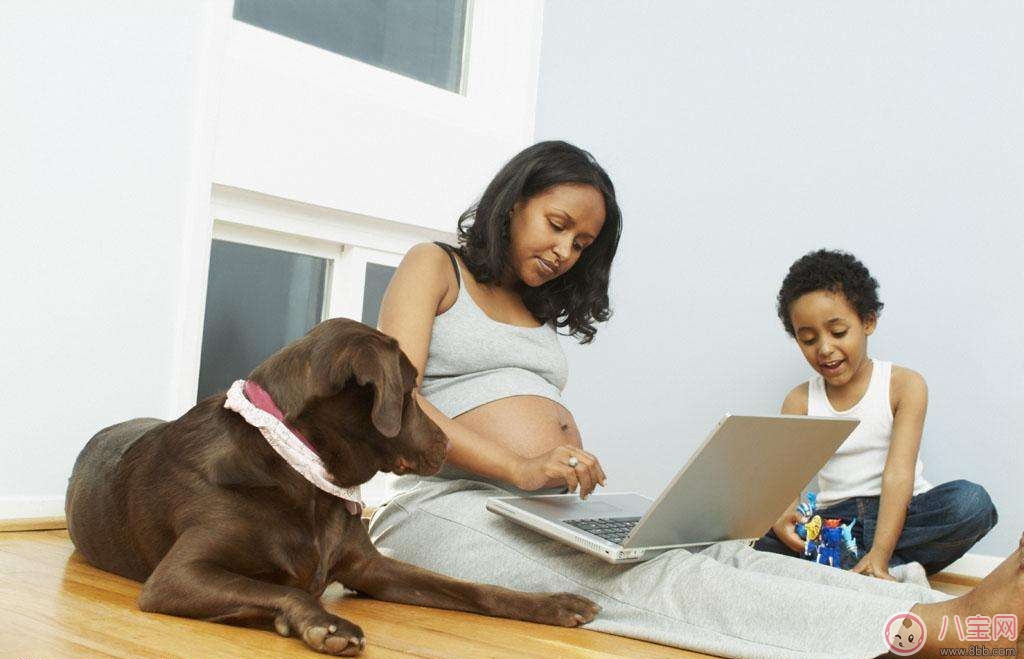 孕初期如何上網(wǎng) 孕初期上網(wǎng)注意事項(xiàng)