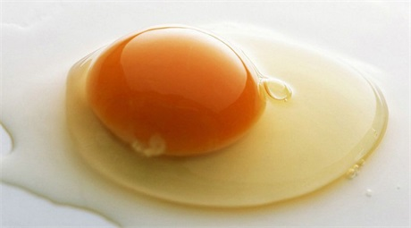 備孕期間男人吃什么好    備孕男人吃什么提高精子質(zhì)量