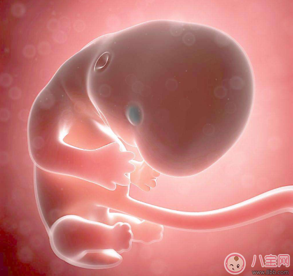 懷孕不想被側(cè)切怎么辦 不想側(cè)切準(zhǔn)備工作 懷孕不想被側(cè)切怎么辦 不想側(cè)切準(zhǔn)備工作