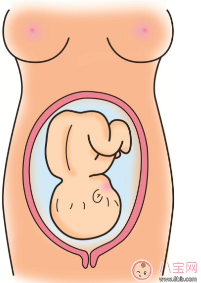 胎位不正只能剖腹產(chǎn)了嗎 怎么讓胎位不正順產(chǎn) 胎位不正只能剖腹產(chǎn)了嗎 怎么讓胎位不正順產(chǎn)