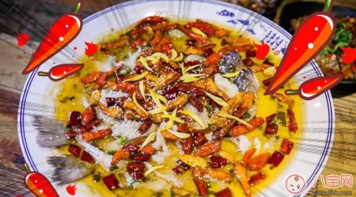 孕婦可以吃酸菜魚嗎 孕婦能吃酸菜魚里面的酸菜嗎 孕婦可以吃酸菜魚嗎 孕婦能吃酸菜魚里面的酸菜嗎