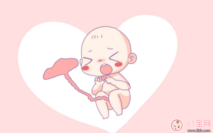 扎心了老鐵沒鐵了 準(zhǔn)媽媽補鐵這么做效率高 扎心了老鐵沒鐵了 準(zhǔn)媽媽補鐵這么做效率高