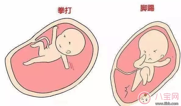 飯點(diǎn)吃飯的時(shí)候?qū)殞毺?dòng)的厲害 寶寶胎動(dòng)的意思還有哪些 飯點(diǎn)吃飯的時(shí)候?qū)殞毺?dòng)的厲害 寶寶胎動(dòng)的意思還有哪些