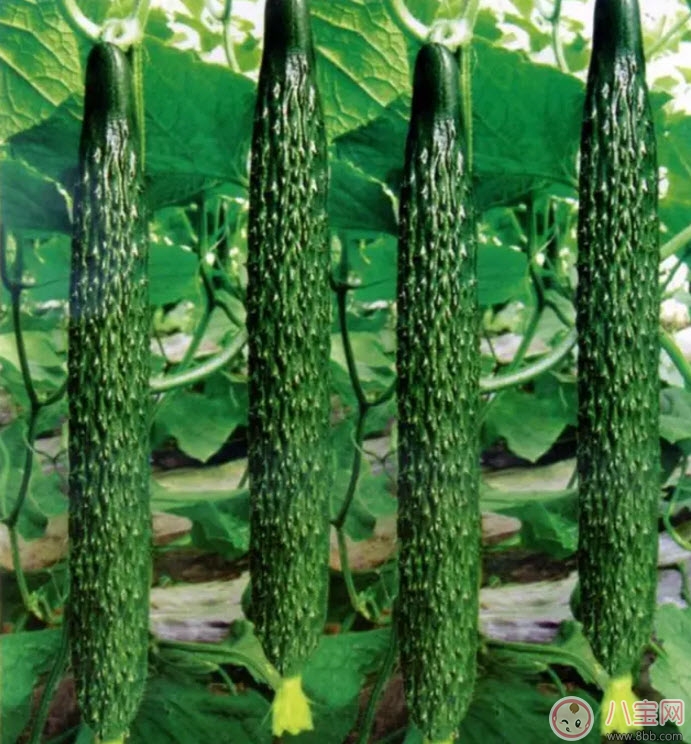 妊娠糖尿病吃什么水果好 孕婦一天最多吃多少水果 妊娠糖尿病吃什么水果好 孕婦一天最多吃多少水果