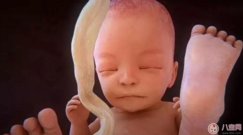 胎盤晚熟預(yù)產(chǎn)期會(huì)推遲嗎 胎盤成熟度1級(jí)能分娩嗎