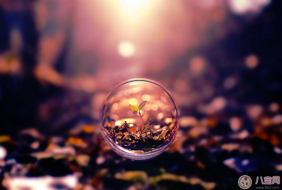 懷孕時(shí)有哪些事情做了才不會(huì)覺(jué)得遺憾 不知道就等著后悔吧