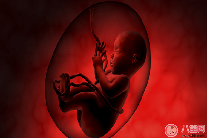 寶寶智商和什么相關(guān) 寶寶智商發(fā)育三大注意事項(xiàng) 寶寶智商和什么相關(guān) 寶寶智商發(fā)育三大注意事項(xiàng)