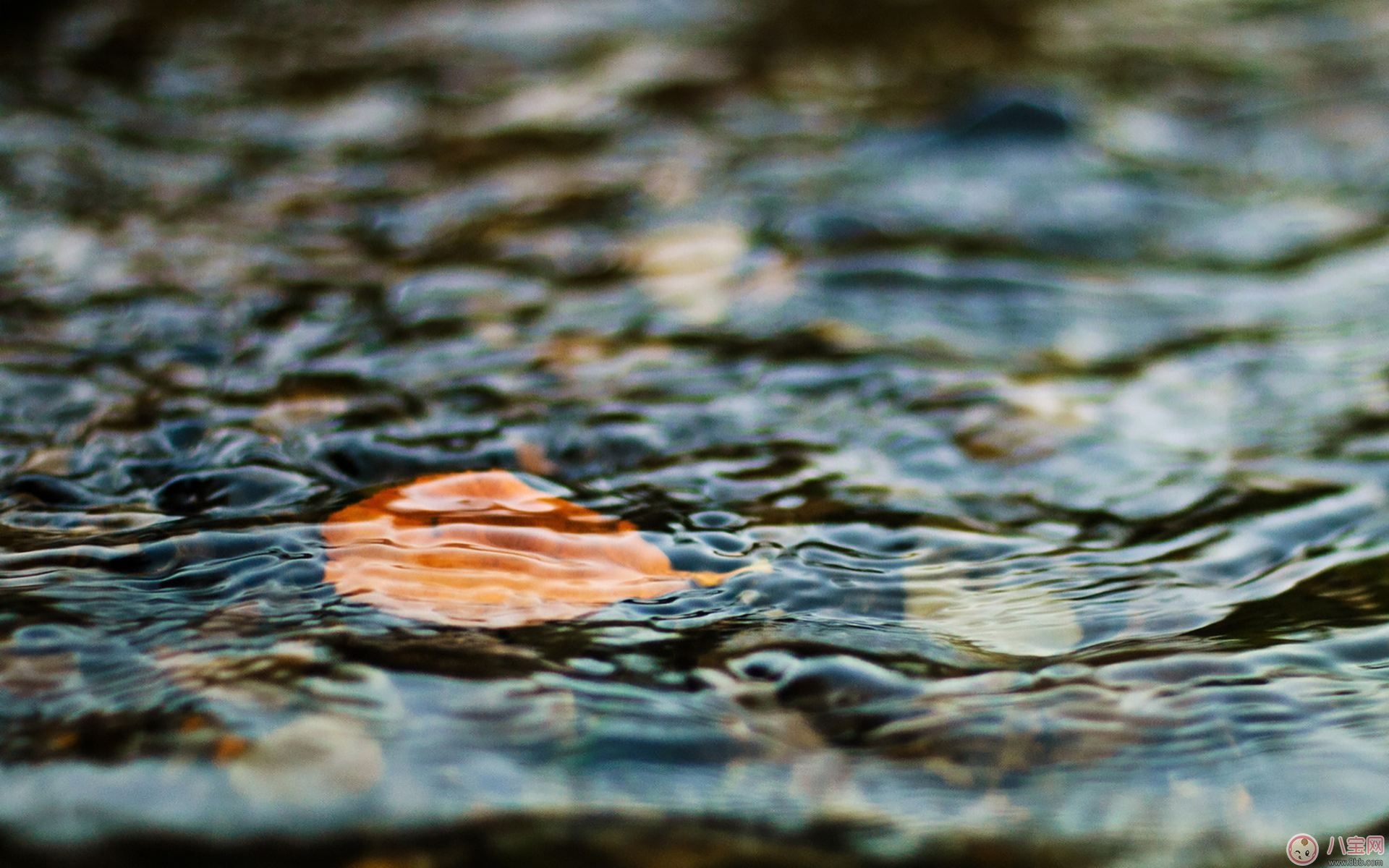 秋季孕期身體乏力的原因及應(yīng)對方法