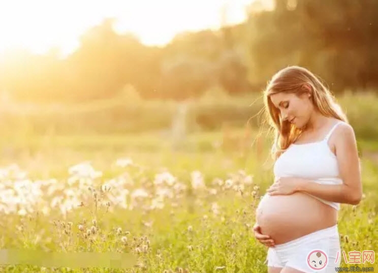 孕婦曬太陽的最佳時(shí)間 孕婦曬太陽的最佳位置(曬肚子) 孕婦曬太陽的最佳時(shí)間 孕婦曬太陽的最佳位置(曬肚子)