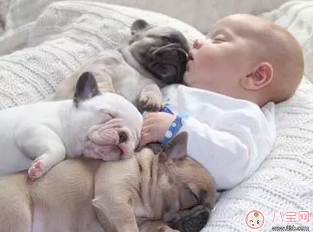 養(yǎng)寵物的孕婦應(yīng)該做哪些檢查 為什么明星懷孕了能養(yǎng)寵物