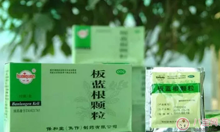 孕婦可以喝板藍根嗎 孕婦感冒咳嗽可以喝板藍根顆粒嗎