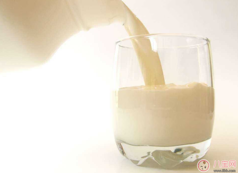 孕婦不能亂喝牛奶？ 看了這個你就會明白