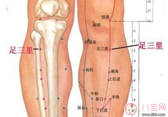孕婦胃病犯了怎么辦吃什么藥 孕婦怎么立刻緩解胃痛 孕婦胃病犯了怎么辦吃什么藥 孕婦怎么立刻緩解胃痛