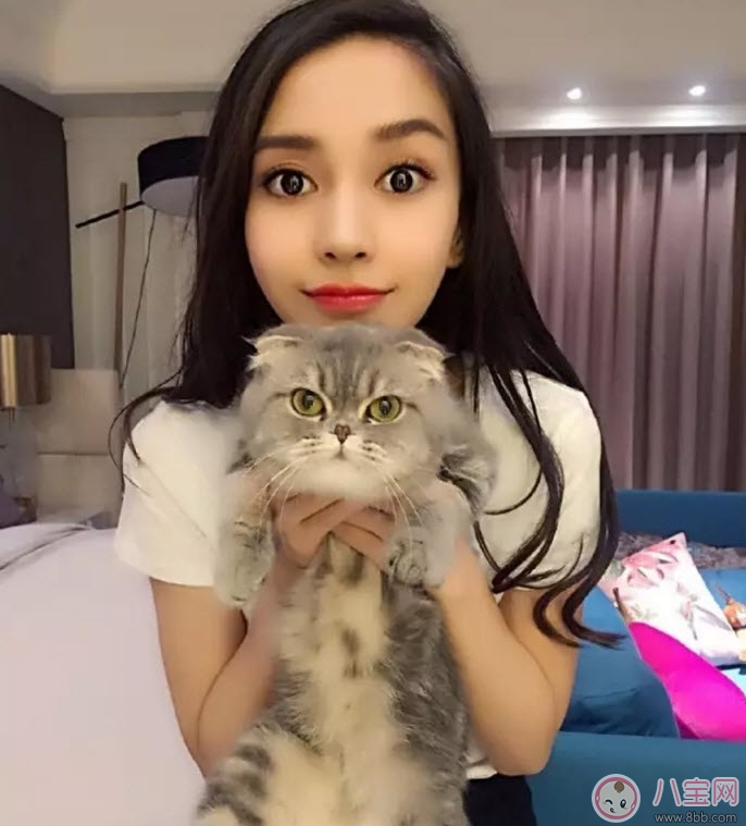 孕期家里有寵物怎么辦 孕期養(yǎng)寵物注意事項