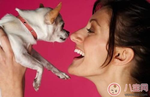 孕期家里有寵物怎么辦 孕期養(yǎng)寵物注意事項