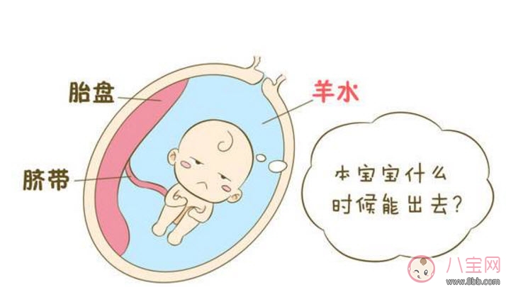 孕晚期羊水過(guò)多怎么辦 羊水過(guò)多的原因