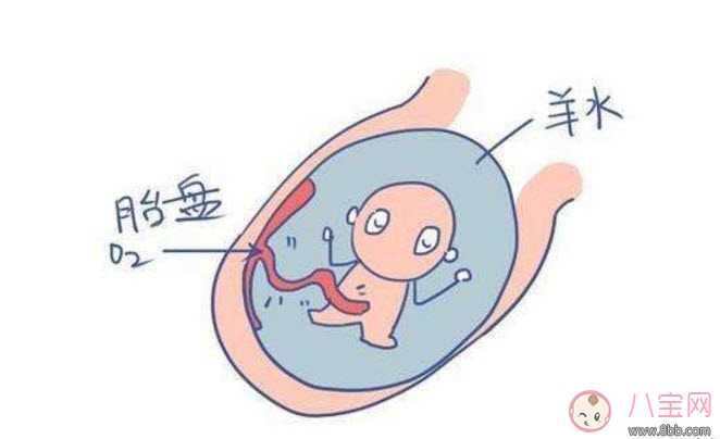 孕晚期羊水過(guò)多怎么辦 羊水過(guò)多的原因