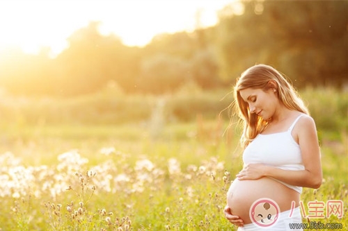 夏季孕肚長痱子的原因 如何緩孕婦長痱子
