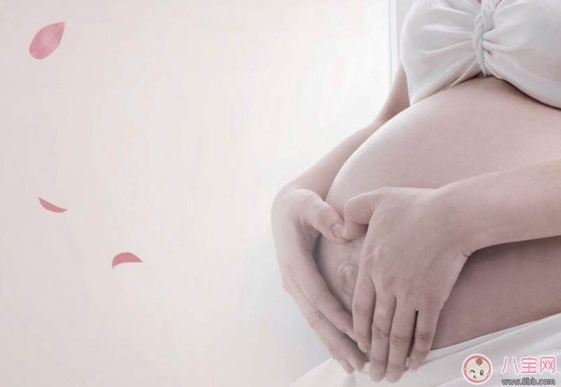 懷孕26天是不是要去做產(chǎn)檢 懷孕26天應(yīng)該做哪些準(zhǔn)備 懷孕26天是不是要去做產(chǎn)檢 懷孕26天應(yīng)該做哪些準(zhǔn)備