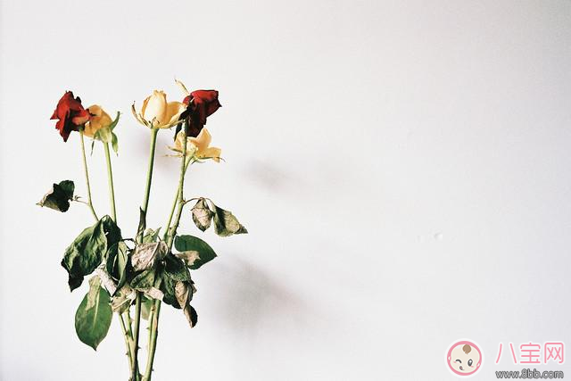 懷孕孕酮低 莫方,看看這些來調(diào)整