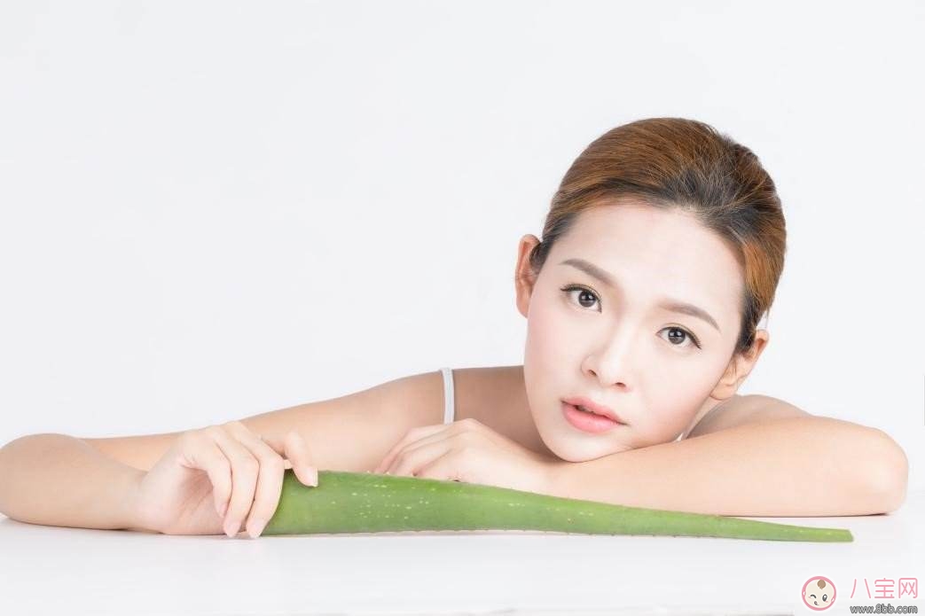 蘆薈美容功效多 產(chǎn)后正確使用更漂亮 蘆薈美容功效多 產(chǎn)后正確使用更漂亮