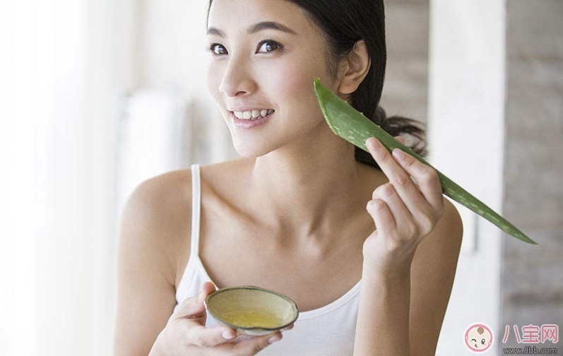 蘆薈美容功效多 產(chǎn)后正確使用更漂亮 蘆薈美容功效多 產(chǎn)后正確使用更漂亮