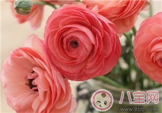 產(chǎn)后排尿難的原因 如何促進(jìn)排尿 產(chǎn)后排尿難的原因 如何促進(jìn)排尿