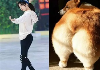 柯基臀是骨盆前傾嗎 李菲兒的柯基臀是怎么練成的