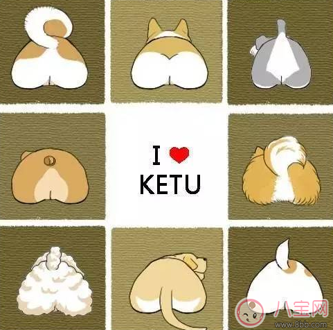 柯基臀是什么 李菲兒柯基臀怎么練出來的