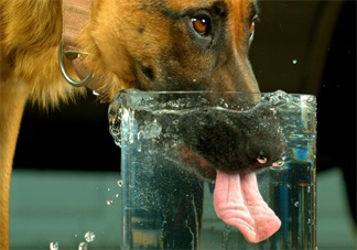 喝水其實(shí)大有講究了 隔夜的水究竟怎么喝