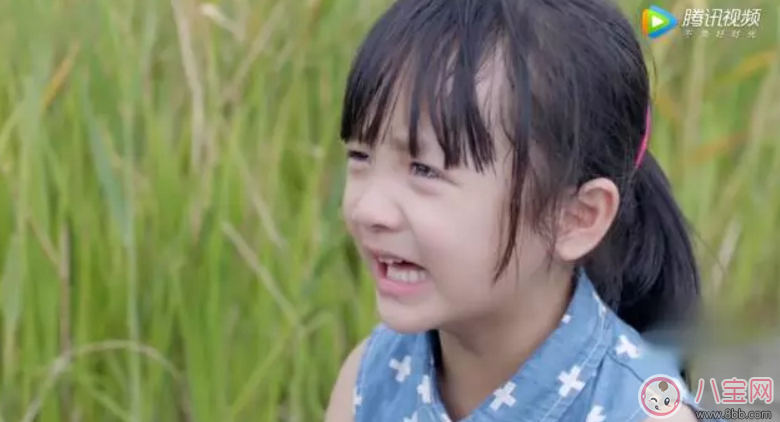 《美味奇緣》看了想睡覺(jué)！《美味奇緣》故事主線是什么？