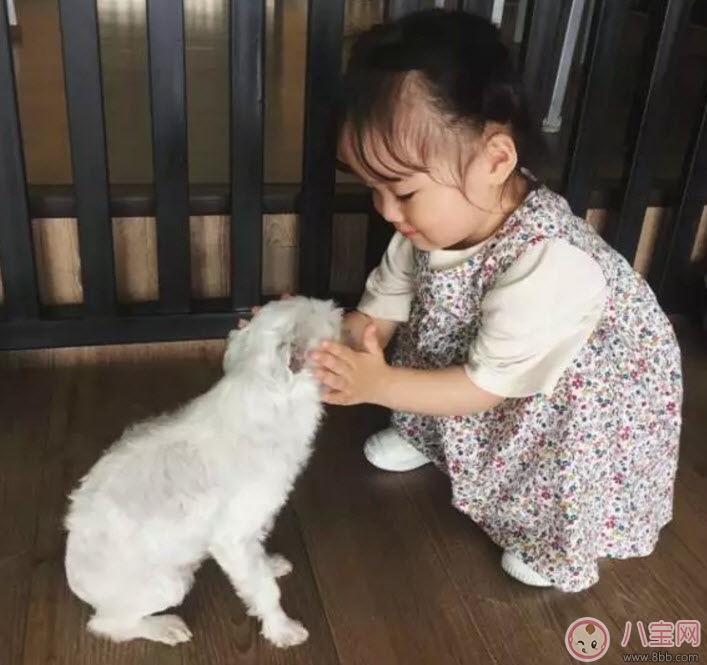 權(quán)律二媽媽是中國人還是韓國人 權(quán)律二媽媽爸爸資料照片家庭條件怎么樣