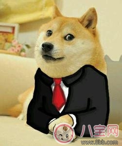 祖國(guó)花朵專(zhuān)用雨衣 給寶寶選什么雨衣好