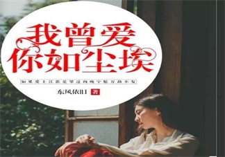 我曾愛(ài)你如塵埃章節(jié)目錄 我曾愛(ài)你如塵埃向晚在線閱讀