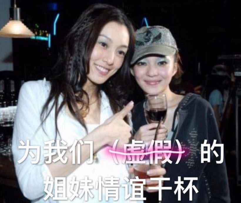 虛假的姐妹情誼表情包 友誼姐妹感情就像塑料花表情包無水印 虛假的姐妹情誼表情包 友誼姐妹感情就像塑料花表情包無水印