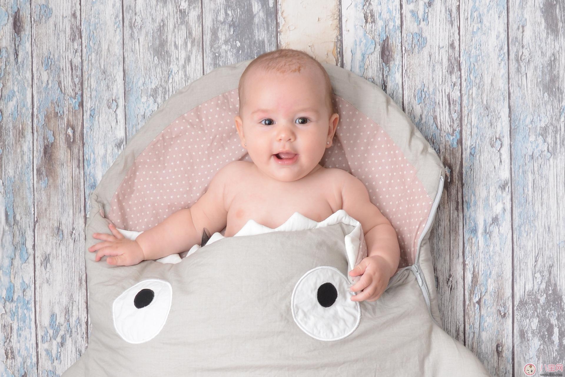 寶寶睡袋的挑選重點(diǎn) 寶寶睡袋怎么使用 寶寶睡袋的挑選重點(diǎn) 寶寶睡袋怎么使用