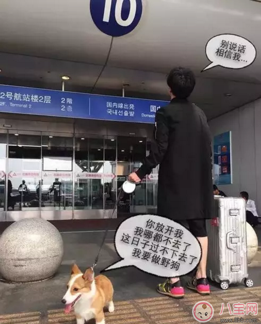 人生巔峰的薛之謙為什么把所有的一往情深都給了同一個(gè)人？