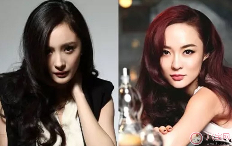 塑料姐妹花永遠(yuǎn)不分家?塑料花友誼什么意思 娛樂圈那些塑料花姐妹友誼