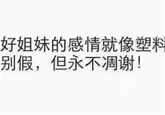 塑料姐妹花永遠(yuǎn)不分家?塑料花友誼什么意思 娛樂圈那些塑料花姐妹友誼