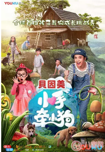 《小手牽小狗》羅志祥帶了幾位萌娃？阿拉蕾的表現(xiàn)怎么樣