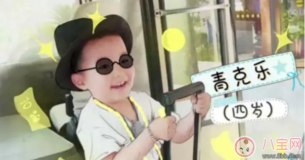 《小手牽小狗》羅志祥帶了幾位萌娃？阿拉蕾的表現(xiàn)怎么樣