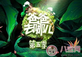 《爸爸去哪兒》周杰倫女兒干爹劉畊宏是嘉賓 能看到周杰倫嗎？