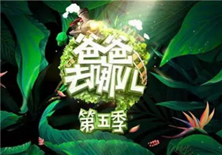 《爸爸去哪兒》周杰倫女兒干爹劉畊宏是嘉賓 能看到周杰倫嗎？