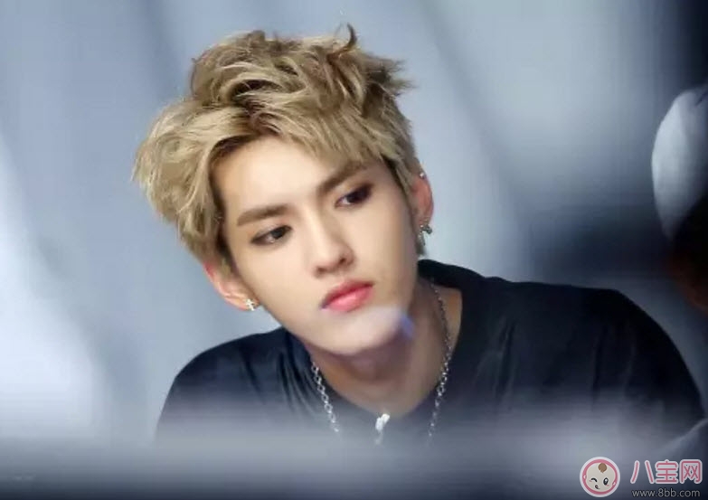 吳亦凡菠蘿頭發(fā)型圖片 2017吳亦凡發(fā)型圖片盤點