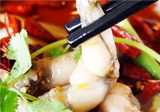 孕婦可以吃田雞嗎 孕婦能吃青蛙嗎